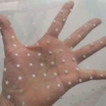 Mesh Bottom Cloth Small Q-point Double-Sided Flocking Rainbow Tulle