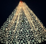 LC3597 Moonlight Floral Glitter Tulle Fabric