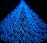 LC3594 Moonlight Floral Glitter Tulle Fabric