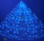 LC3641 Moonlight Floral Glitter Tulle Fabric