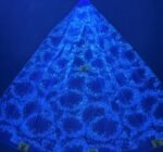 LC3687 Moonlight Floral Glitter Tulle Fabric