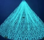 LC3664 Moonlight Floral Glitter Tulle Fabric