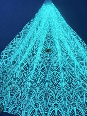 LC3664 Moonlight Floral Glitter Tulle Fabric