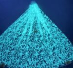 LC3647 Moonlight Floral Glitter Tulle Fabric