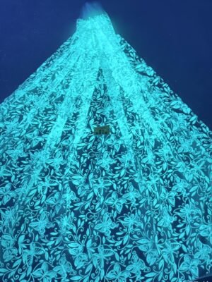 LC3647 Moonlight Floral Glitter Tulle Fabric