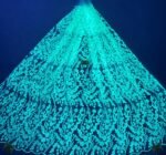 LC3663 Moonlight Floral Glitter Tulle Fabric