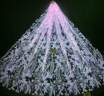 LC3603 Moonlight Floral Glitter Tulle Fabric