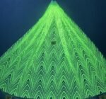 LC3705 Moonlight Floral Glitter Tulle Fabric