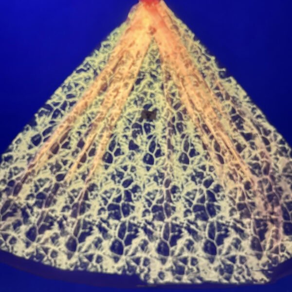 LC3708 Moonlight Floral Glitter Tulle Fabric