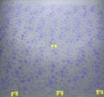 LC3597 Moonlight Floral Glitter Tulle Fabric