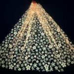 LC3698 Moonlight Floral Glitter Tulle Fabric