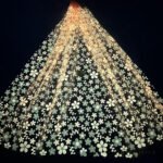 LC3594 Moonlight Floral Glitter Tulle Fabric