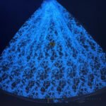 LC3708 Moonlight Floral Glitter Tulle Fabric