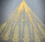 LC3550 Moonlight Floral Glitter Tulle Fabric