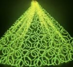 LC3596 Moonlight Floral Glitter Tulle Fabric